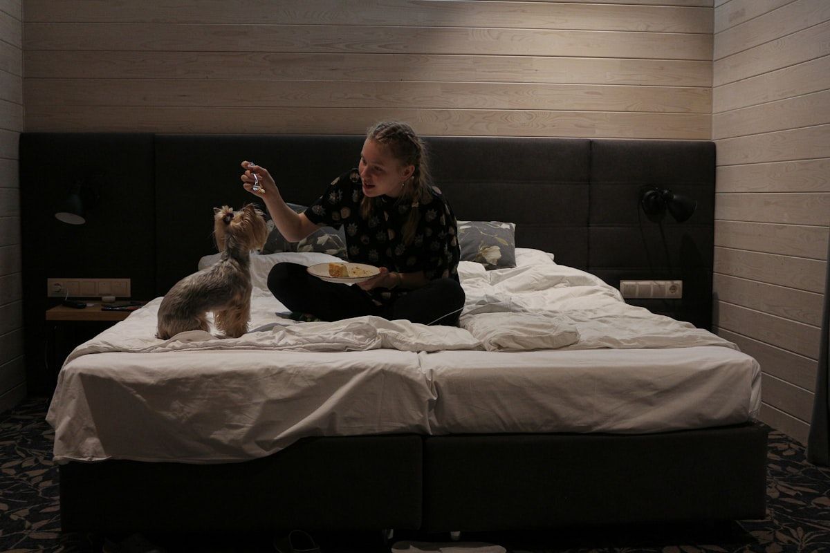A bedroom floor area with a pet bed, a dog sleeping nearby, scattered carpet fibers, and a person kneeling to inspect the baseboard and lower edge of the carpet with a flashlight, suggesting a search for fleas or other small biting insects
