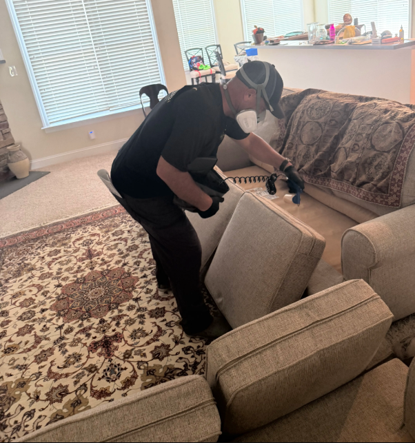 bed bug inspection