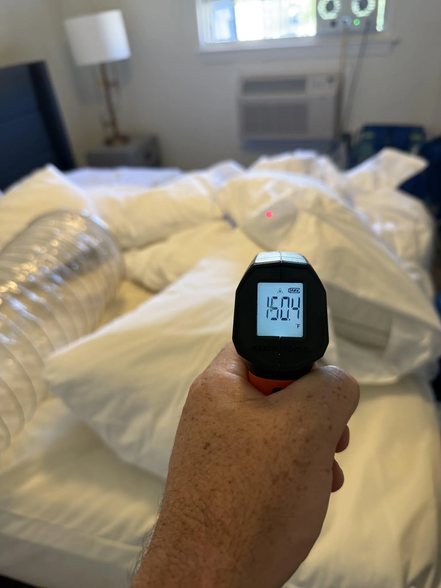 Thermometer verifying heat on bagged belongings during treatment
