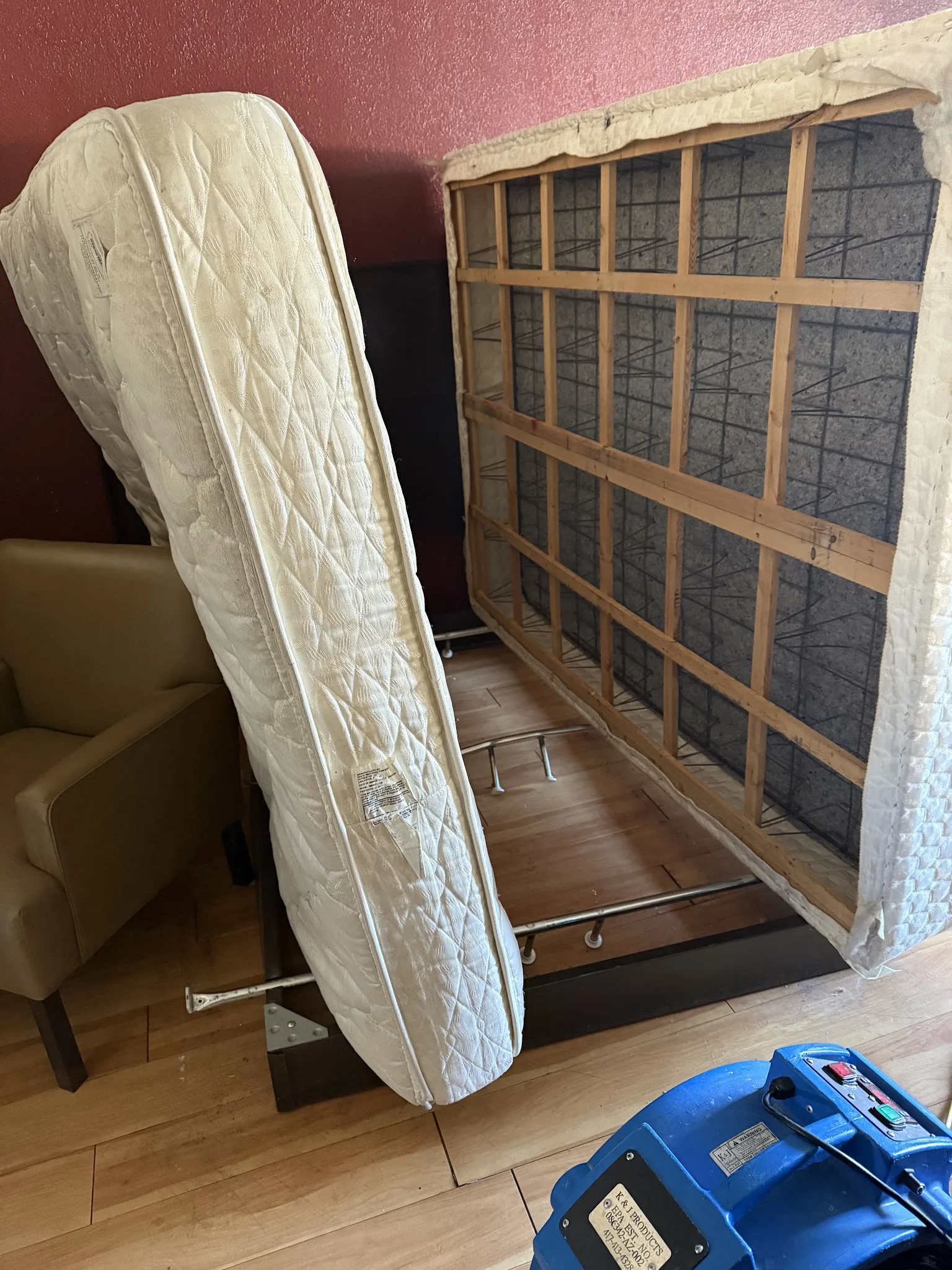 Mattress and box spring stood up for bed bug treatment